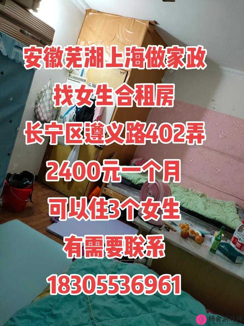 出租房里的交互高康张睿：一段不为人知的合租故事即将展开